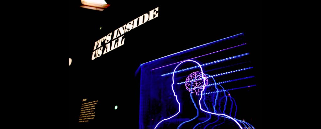 Cognitive biases are inside us all